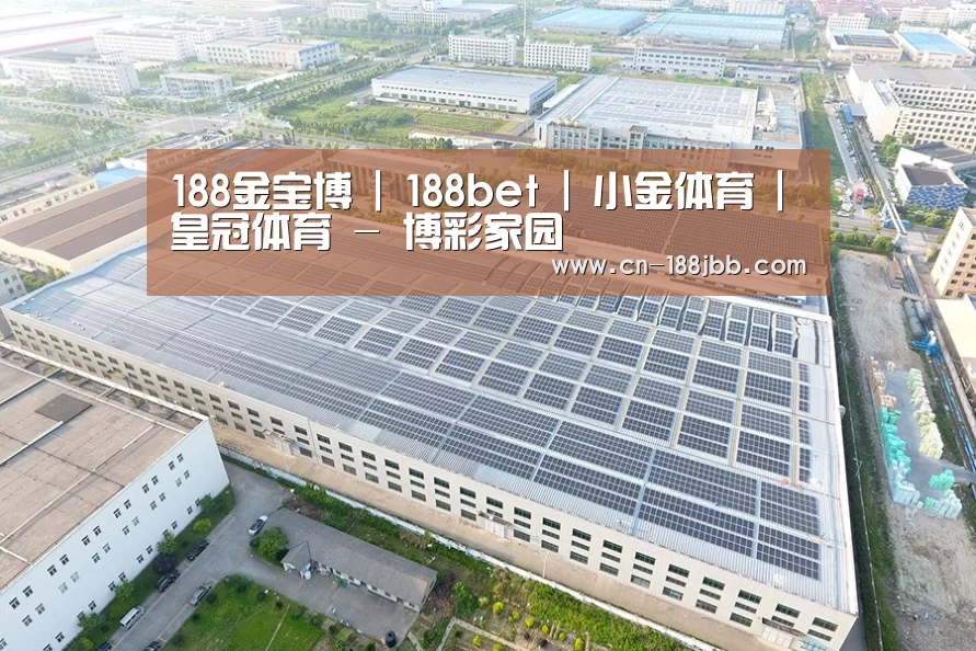 案例展示一