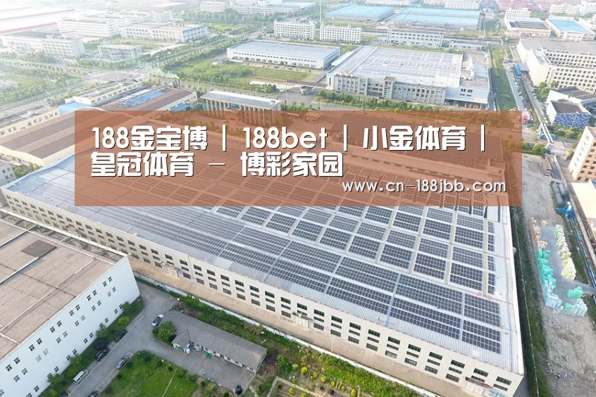 案例展示二