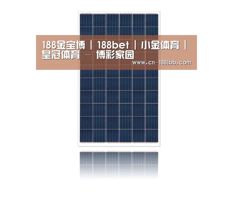产品名称一