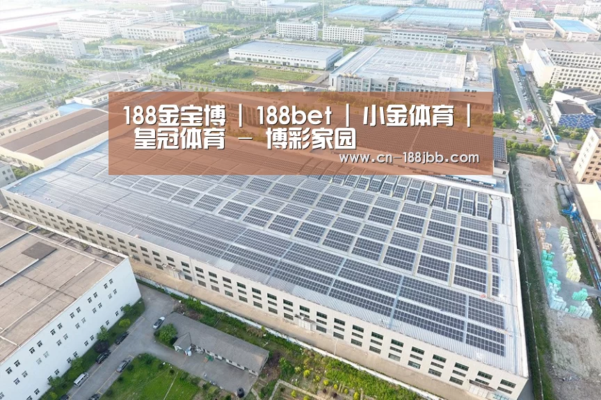 案例展示二