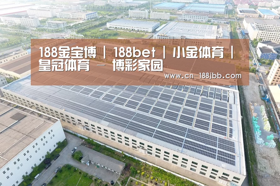 案例展示三