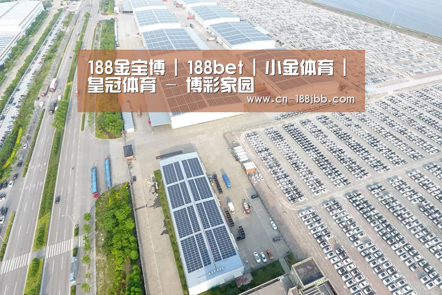 案例展示一