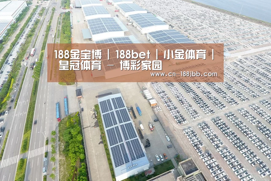 案例展示四