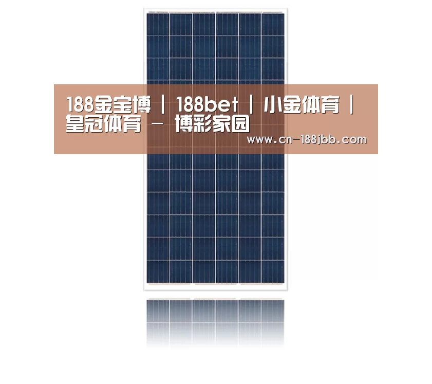 产品名称一