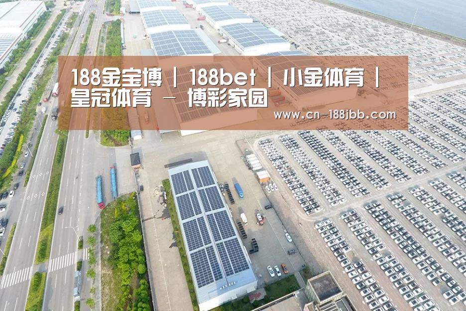 案例展示三