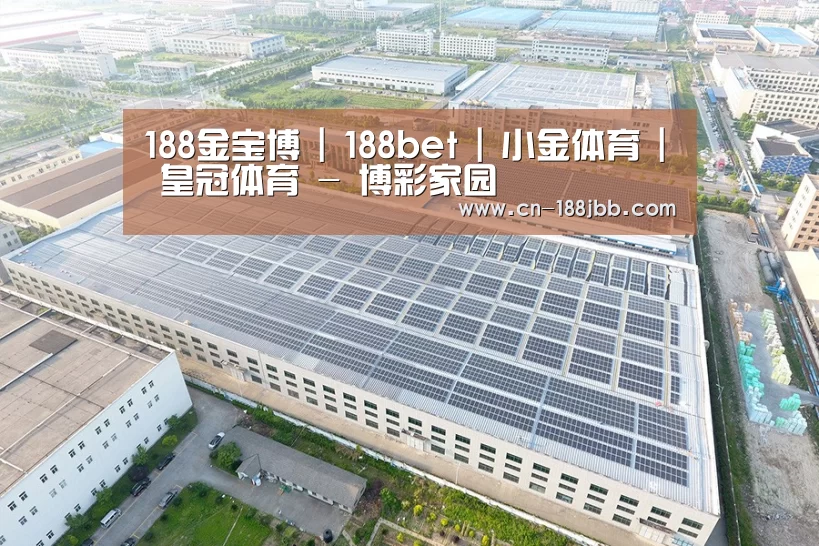 案例展示四