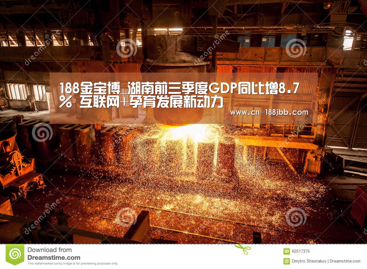 188金宝博_湖南前三季度GDP同比增8.7% 互联网+孕育发展新动力(图4) 188金宝博
