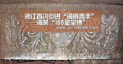 浙江首次引进“海底毒手”——海葵“188金宝博”(图2) 188金宝博