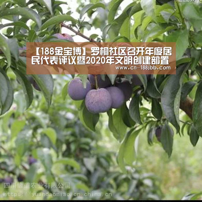 188金宝博